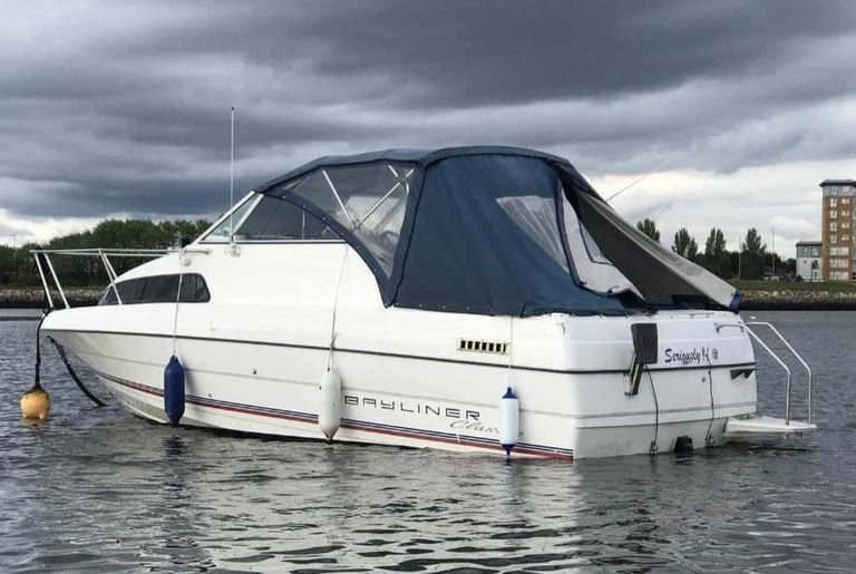 Free Bayliner Classic 22