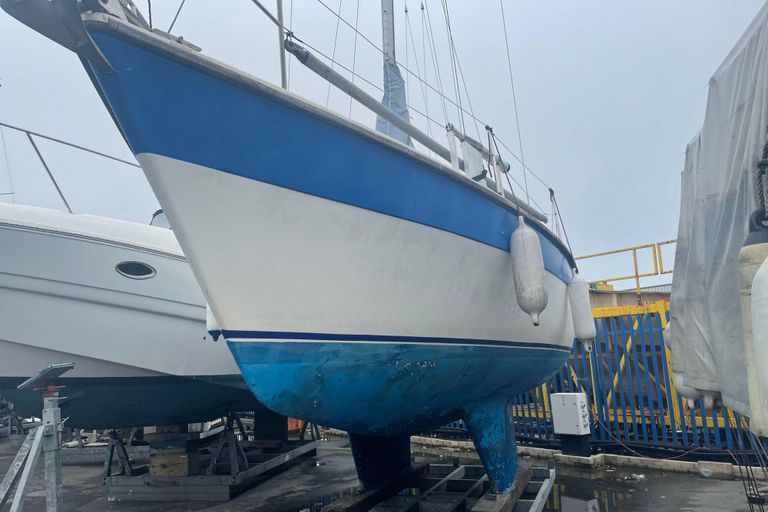 Re-homed Colvic Countess 28