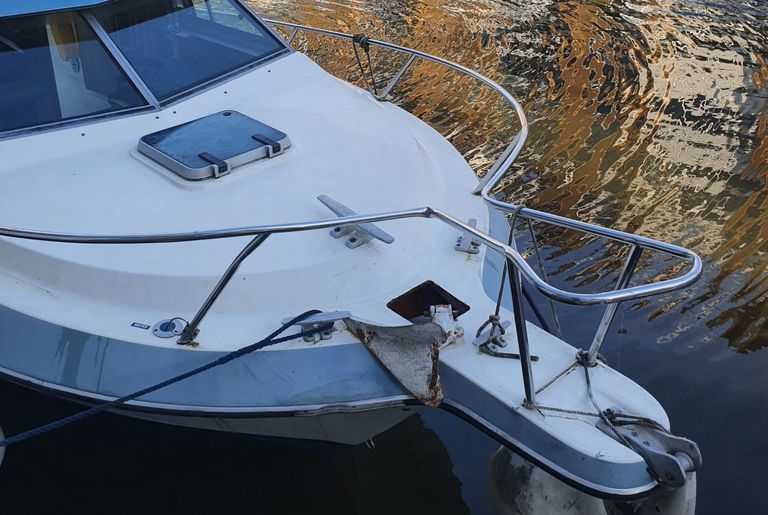 Free Cruisers International 23