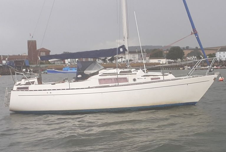 Seal 28