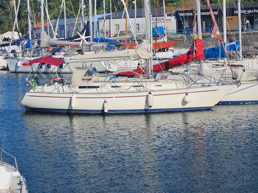 Sadler 34 'Ossory'