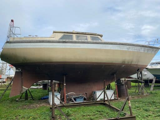 Seastream 34
