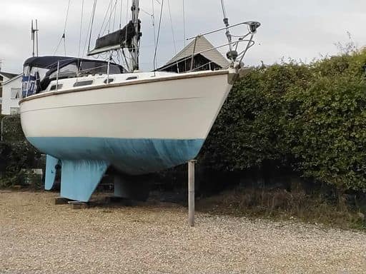 Colvic Countess 28