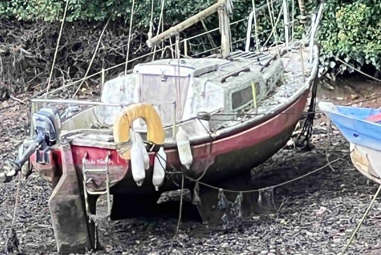 Signet 20