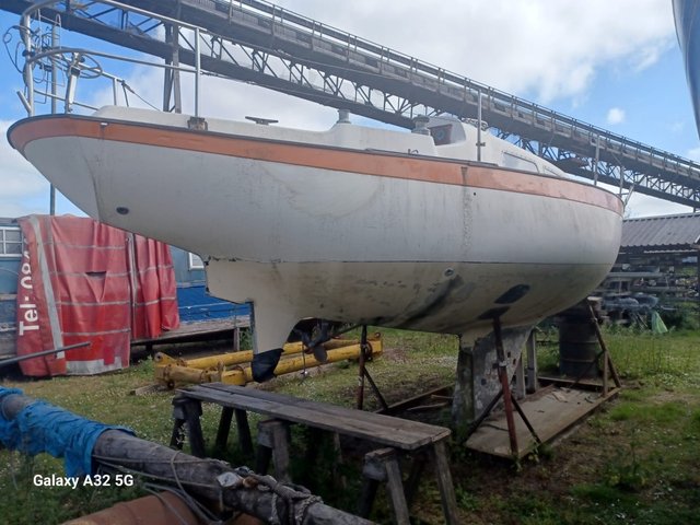 'Pinguino' S&S SHE 32C photo