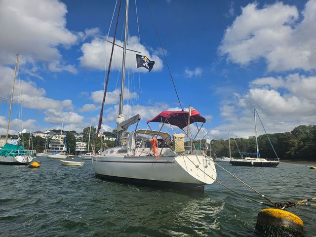 Sadler 34 'Ossory' photo