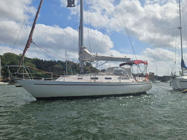 Sadler 34 'Ossory' photo