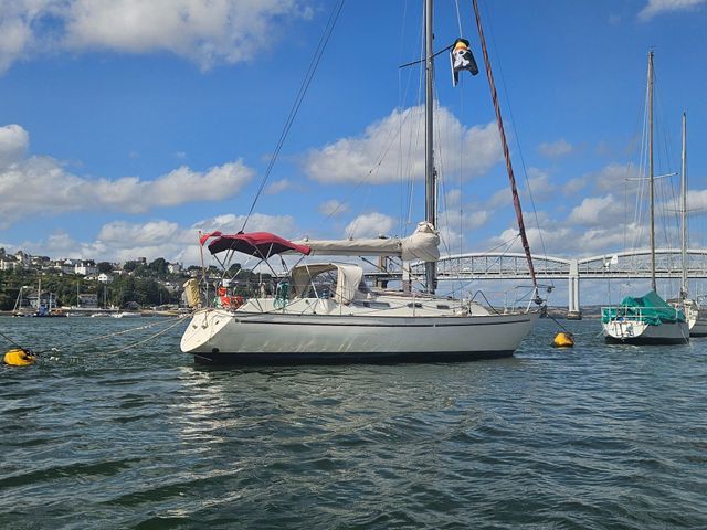 Sadler 34 'Ossory' photo