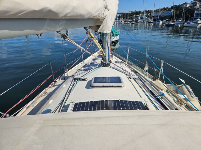 Sadler 34 'Ossory' photo
