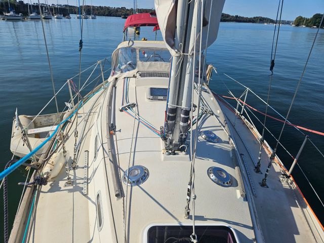 Sadler 34 'Ossory' photo