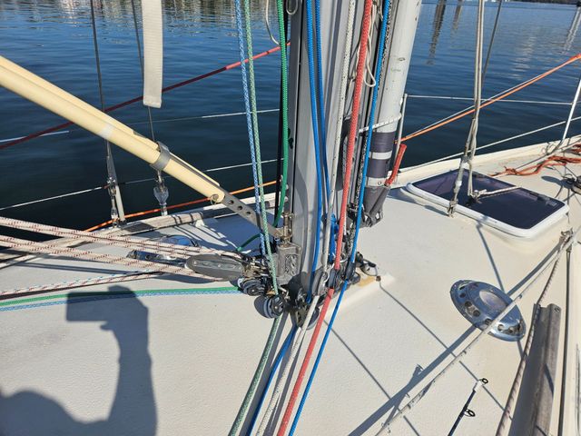 Sadler 34 'Ossory' photo