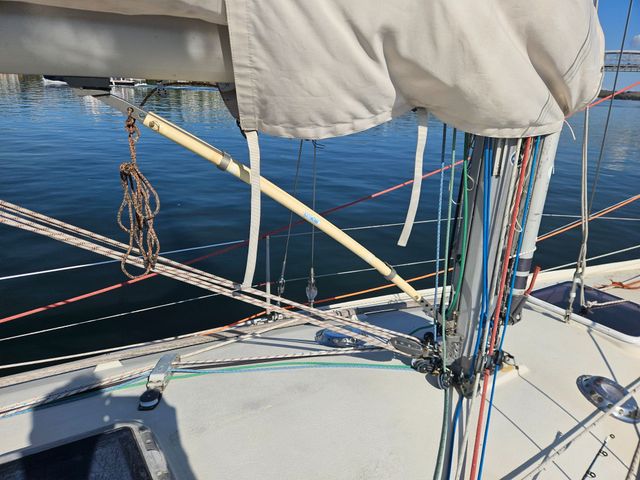 Sadler 34 'Ossory' photo