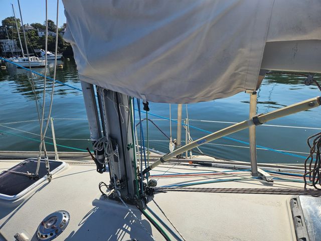 Sadler 34 'Ossory' photo