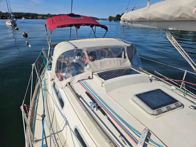 Sadler 34 'Ossory' photo