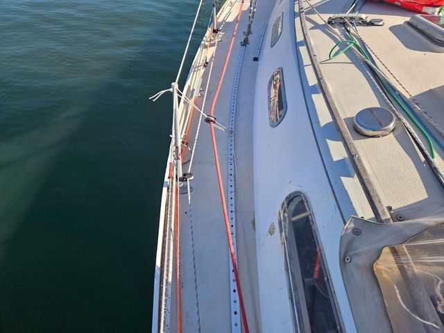 Sadler 34 'Ossory' photo