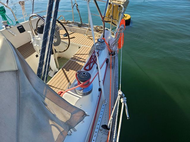 Sadler 34 'Ossory' photo