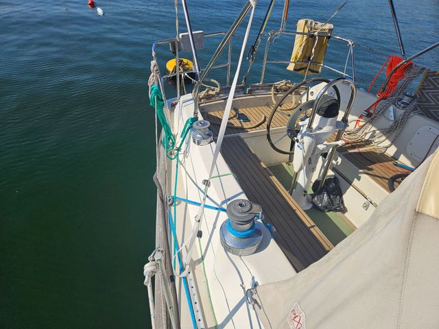 Sadler 34 'Ossory' photo