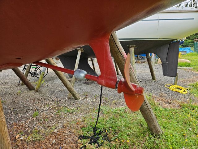 Sadler 34 'Ossory' photo