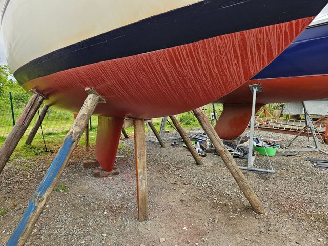 Sadler 34 'Ossory' photo