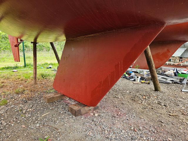 Sadler 34 'Ossory' photo