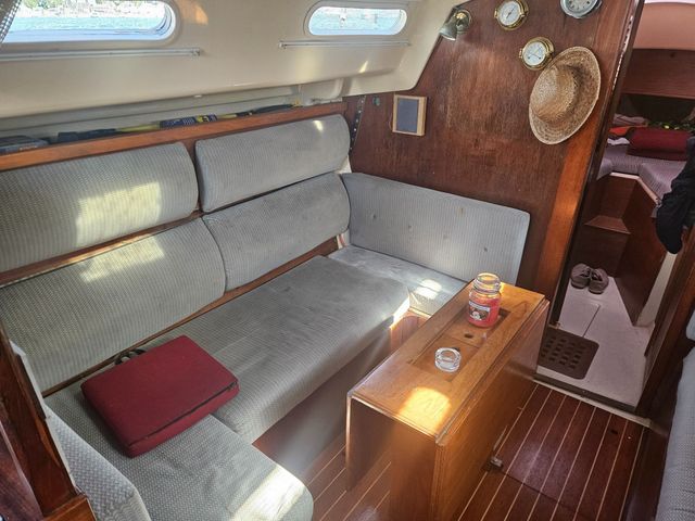 Sadler 34 'Ossory' photo