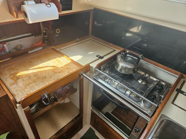 Sadler 34 'Ossory' photo