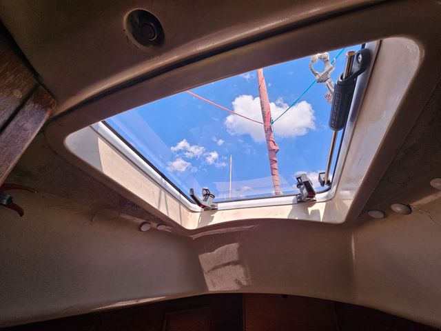 Sadler 34 'Ossory' photo