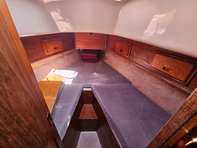 Sadler 34 'Ossory' photo