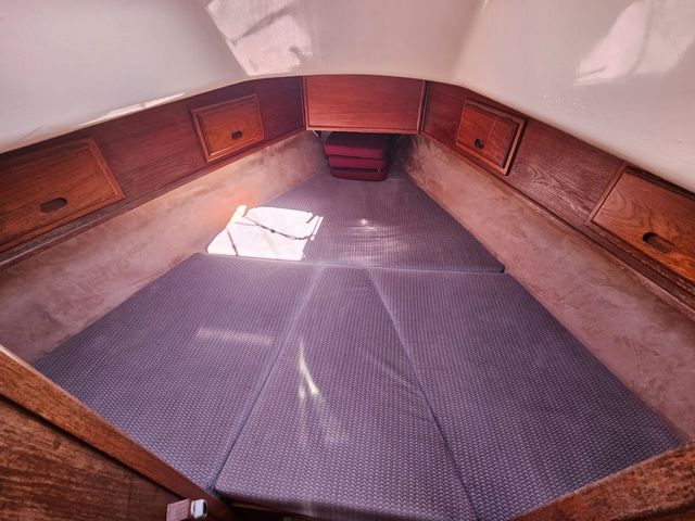 Sadler 34 'Ossory' photo