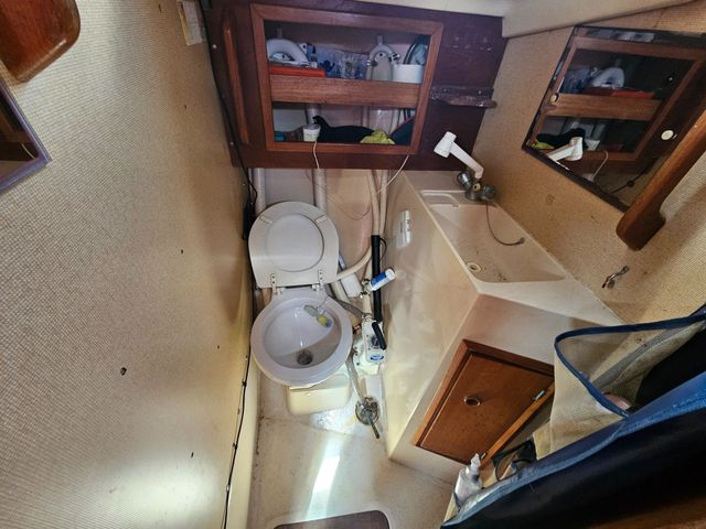 Sadler 34 'Ossory' photo