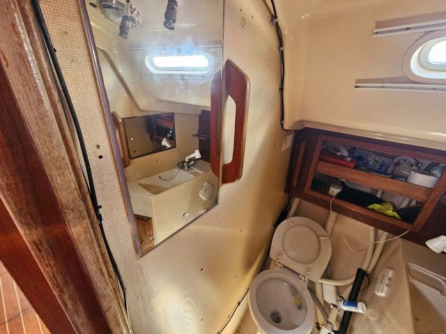 Sadler 34 'Ossory' photo