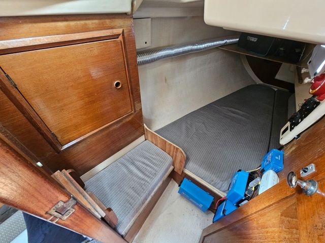 Sadler 34 'Ossory' photo