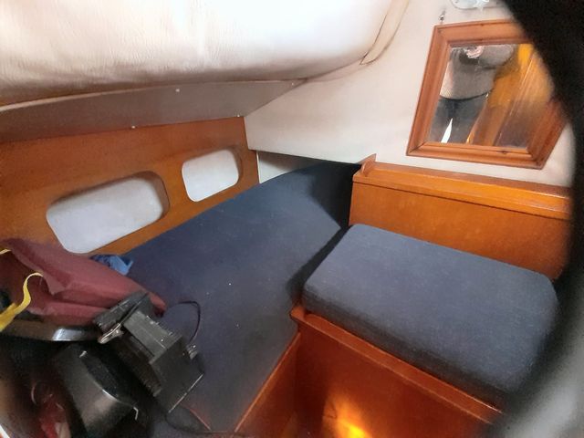 'Sarann' Freedom 35 photo