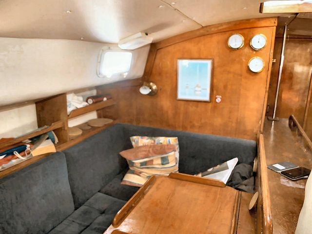 'Sarann' Freedom 35 photo