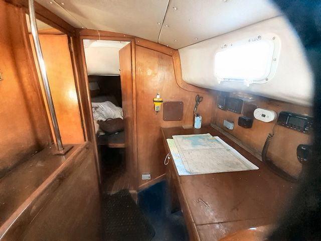 'Sarann' Freedom 35 photo